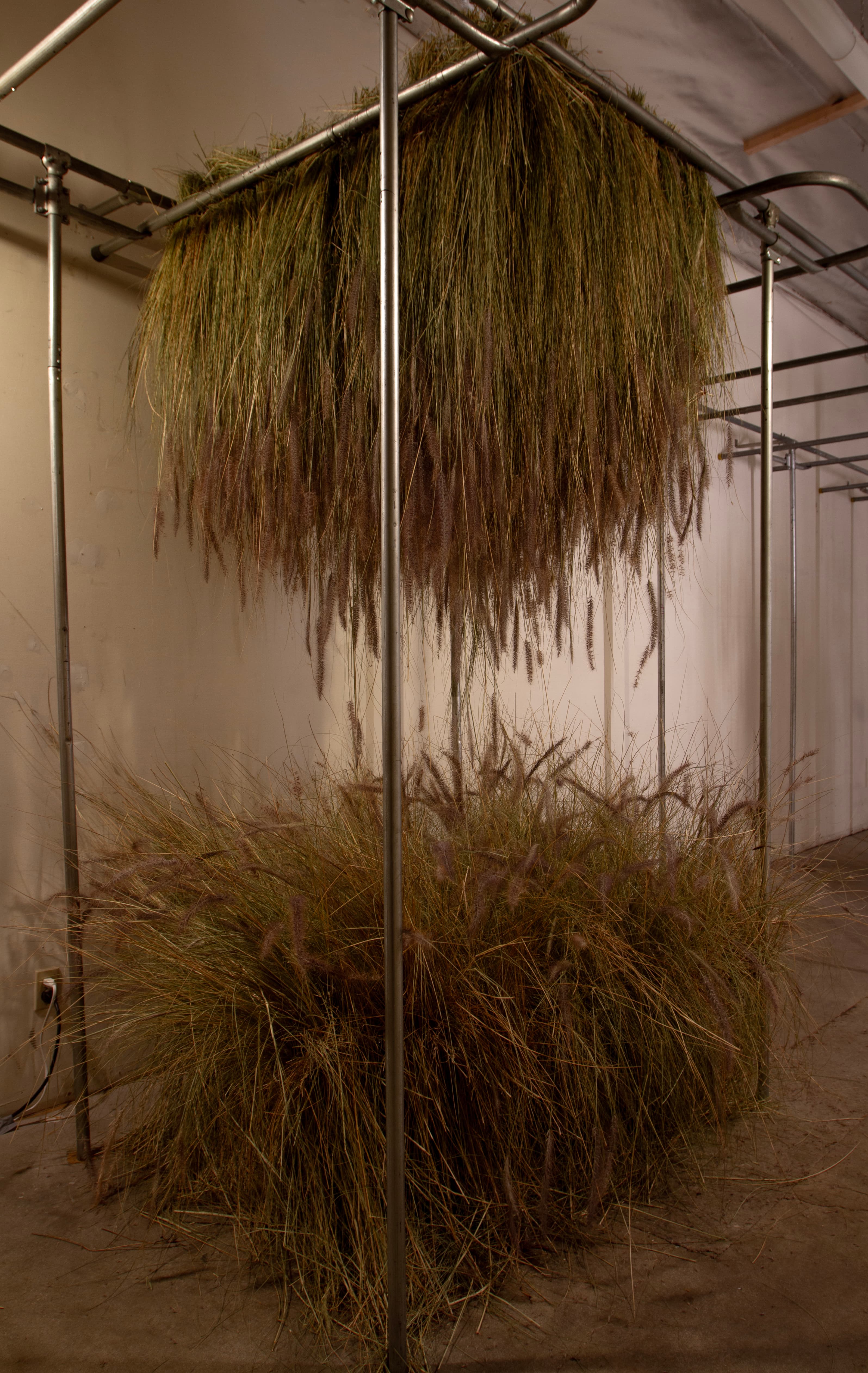 Documentation of installation by Jaime McCuaig of GUNNAR floral. Image shows back room of gallery with industrial metal racks. In the center of the image is a floral installation of wild bush grass. 